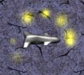 Homing Torpedo