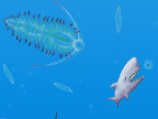 Shark Plankton