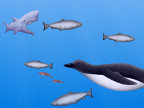 Shark Penguins